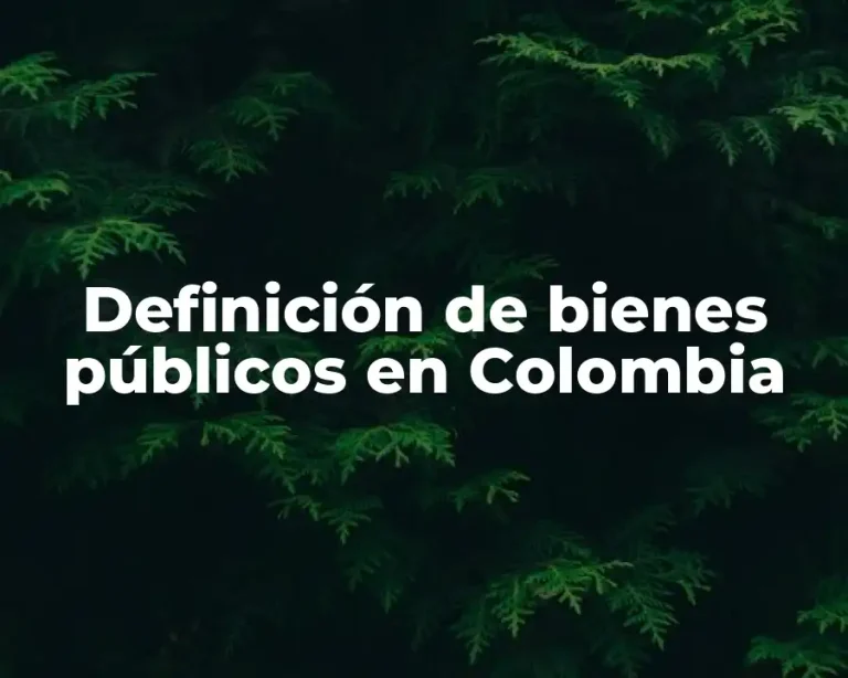 Definición de bienes públicos en Colombia