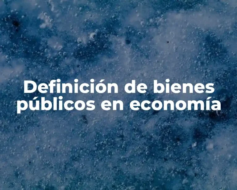 Definición de bienes públicos en economía