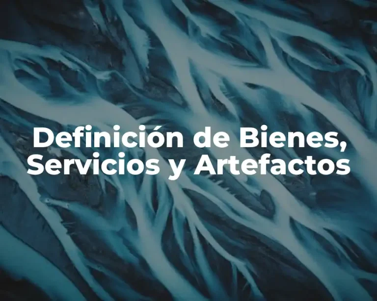 Definición de Bienes, Servicios y Artefactos