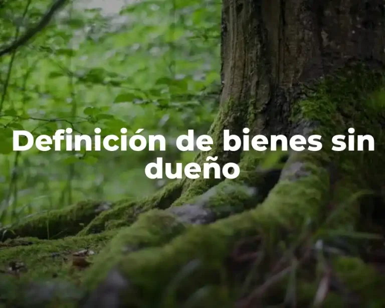 Definición de bienes sin dueño
