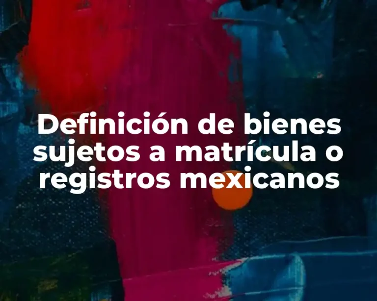 Definición de bienes sujetos a matrícula o registros mexicanos