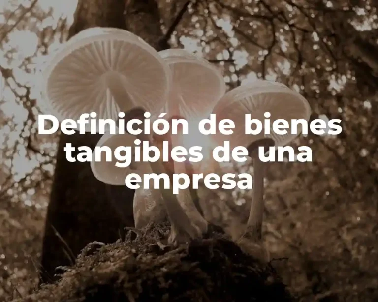 Definición de bienes tangibles de una empresa