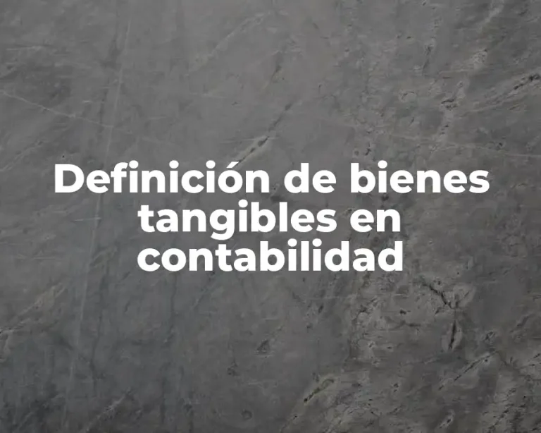Definición de bienes tangibles en contabilidad