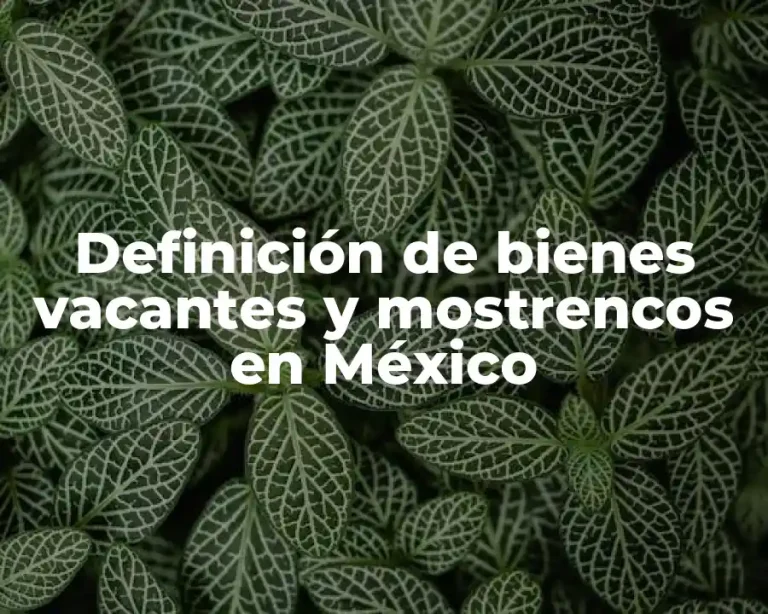 Definición de bienes vacantes y mostrencos en México