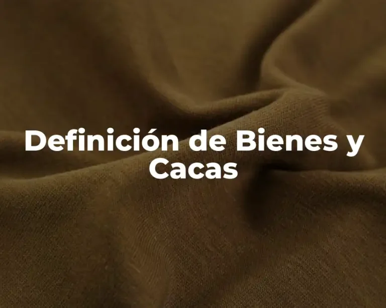 Definición de Bienes y Cacas