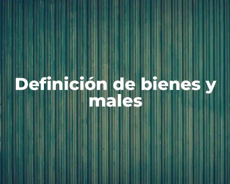 Definición de bienes y males