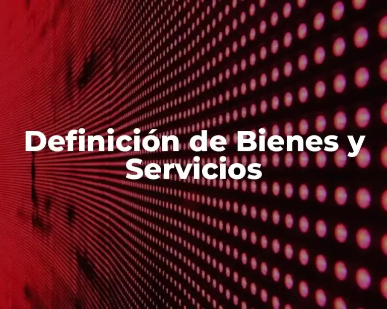 Definición de Bienes y Servicios