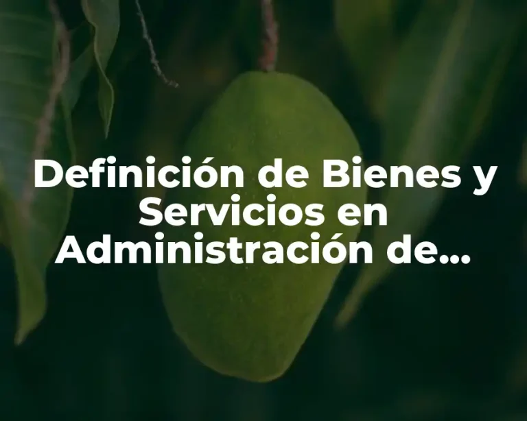 Definición de Bienes y Servicios en Administración de Operaciones
