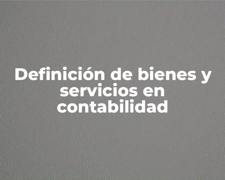 Definición de bienes y servicios en contabilidad