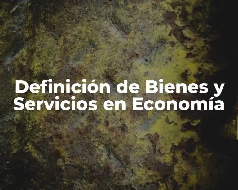 Definición de Bienes y Servicios en Economía