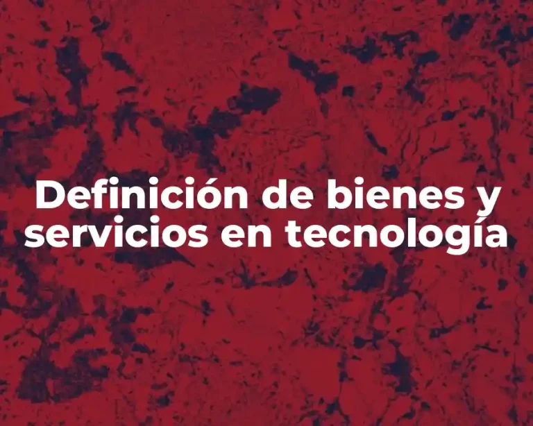 Definición de bienes y servicios en tecnología