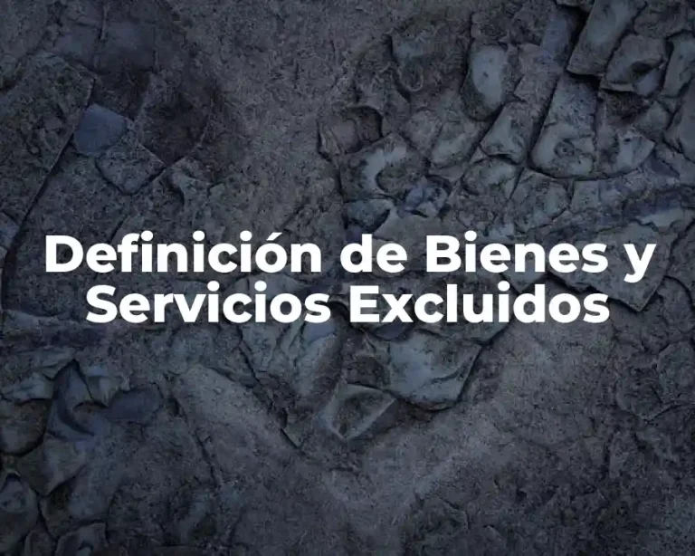Definición de Bienes y Servicios Excluidos