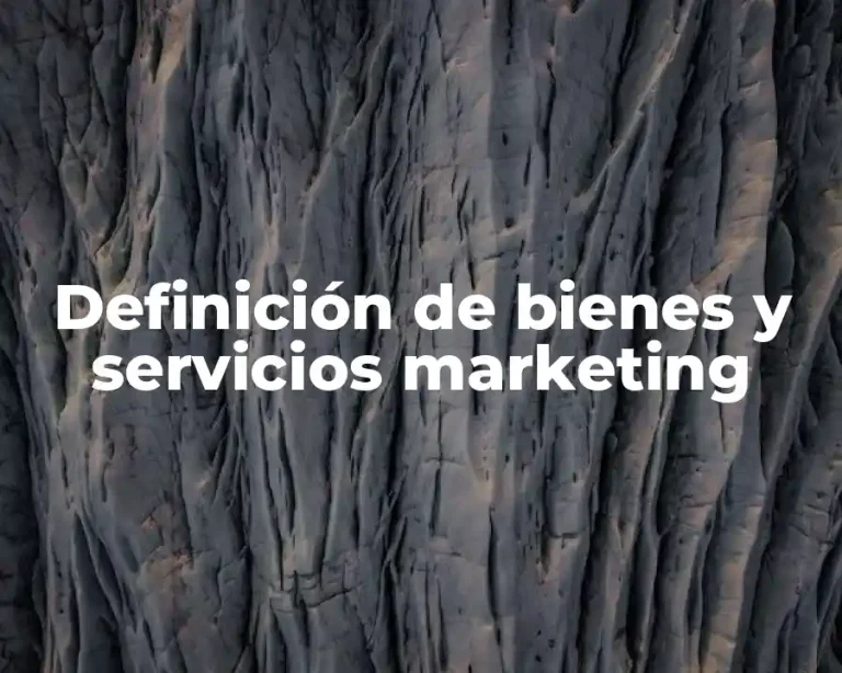 Definición de bienes y servicios marketing