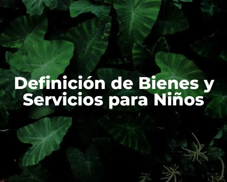 Definición de Bienes y Servicios para Niños