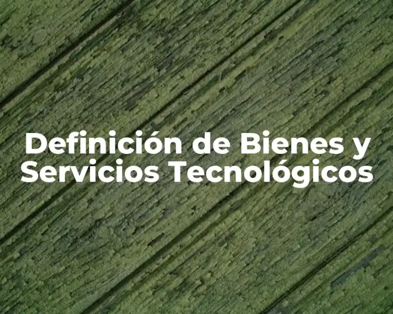 Definición de Bienes y Servicios Tecnológicos