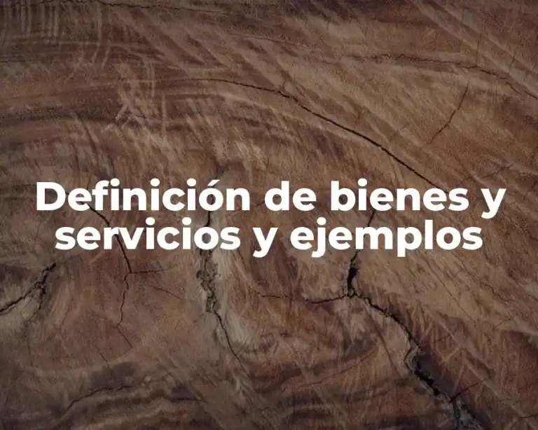 Definición de bienes y servicios y ejemplos