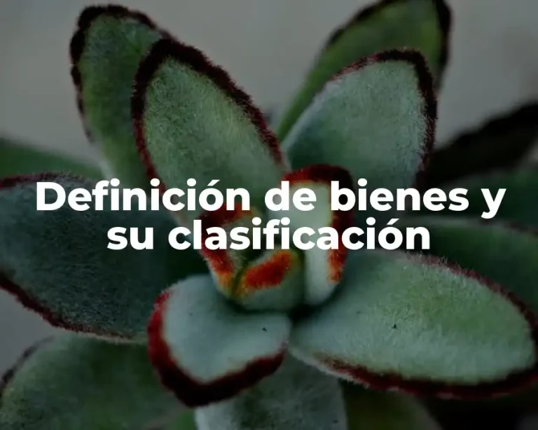 Definición de bienes y su clasificación