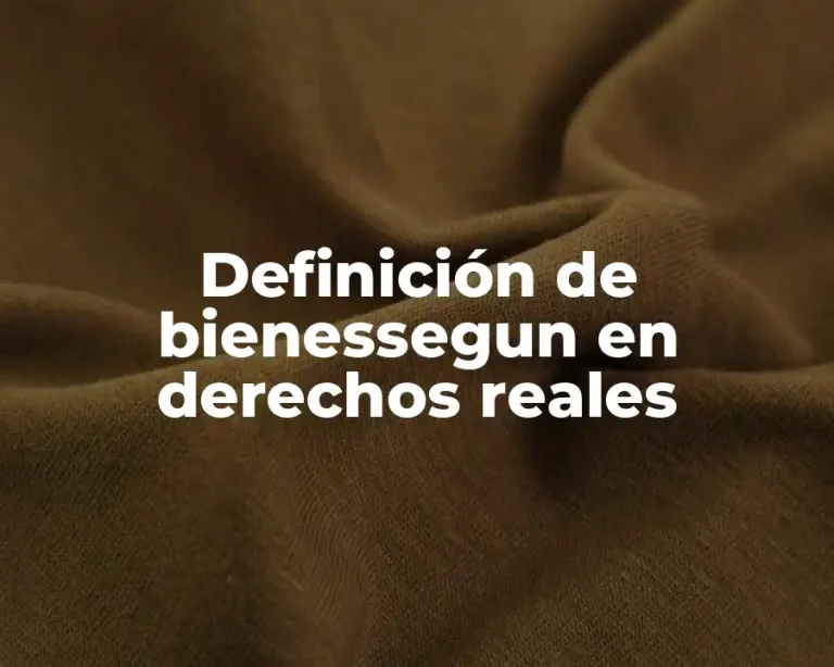 Definición de bienessegun en derechos reales
