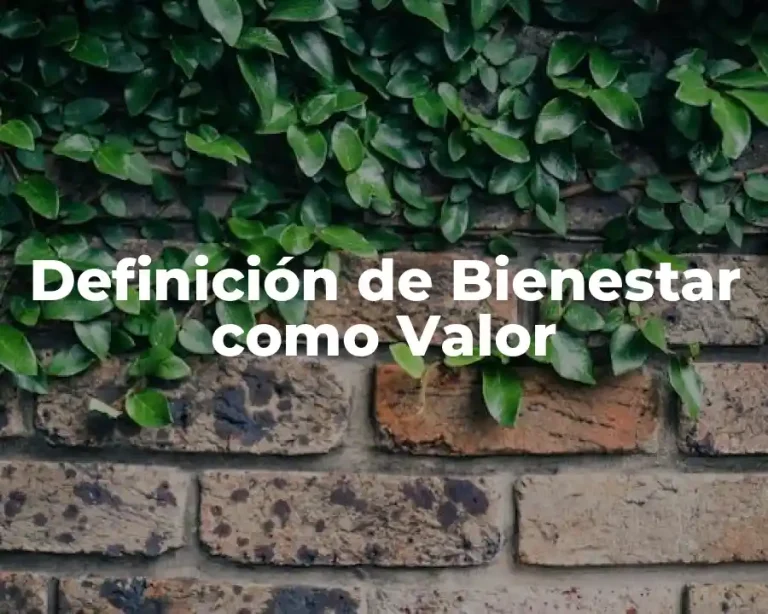 Definición de Bienestar como Valor