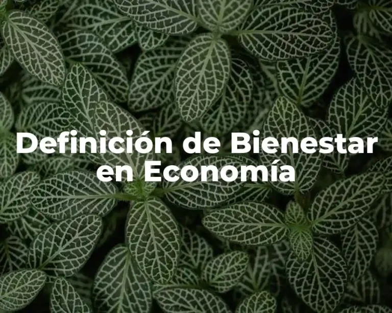 Definición de Bienestar en Economía