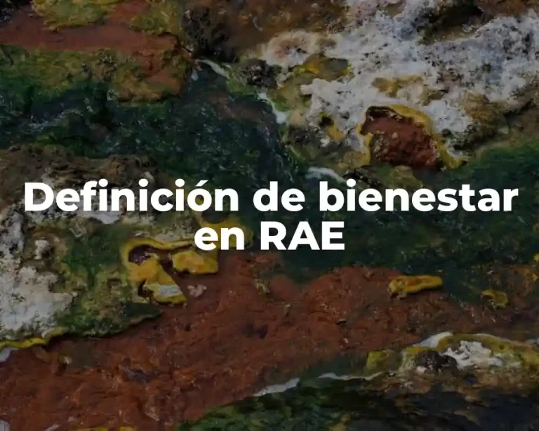 Definición de bienestar en RAE