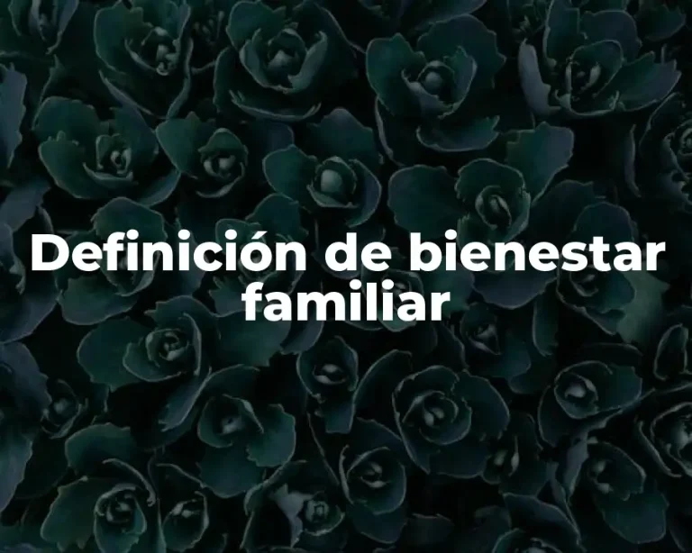 Definición de bienestar familiar
