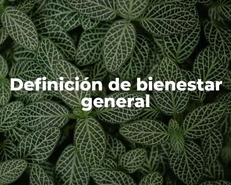 Definición de bienestar general