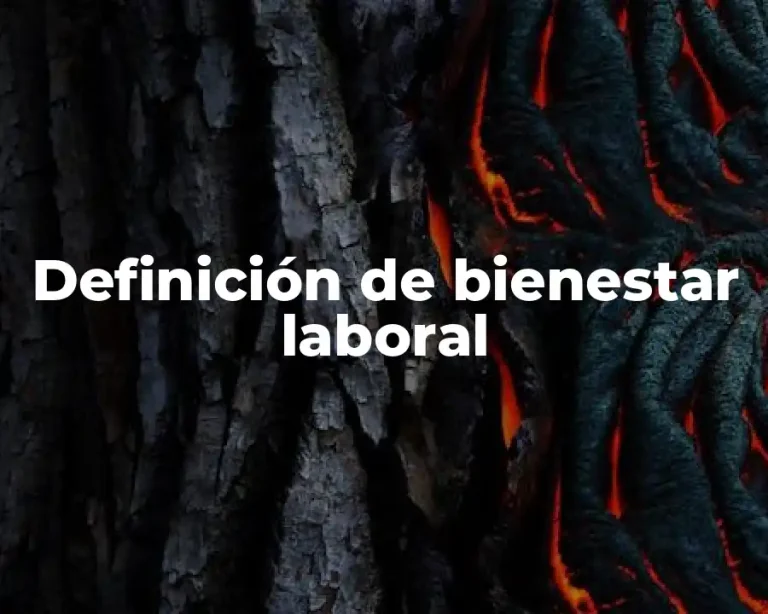 Definición de bienestar laboral