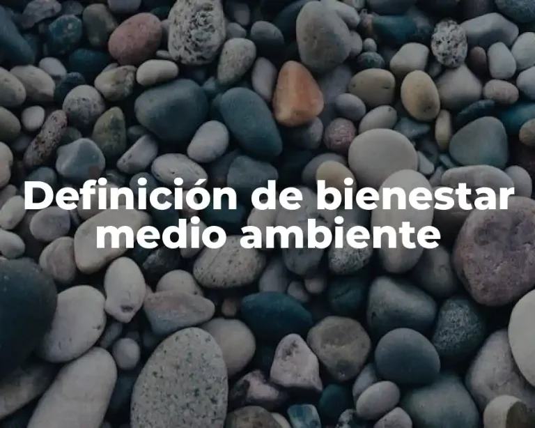 Definición de bienestar medio ambiente