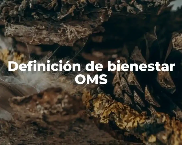 Definición de bienestar OMS