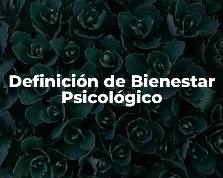 Definición de Bienestar Psicológico