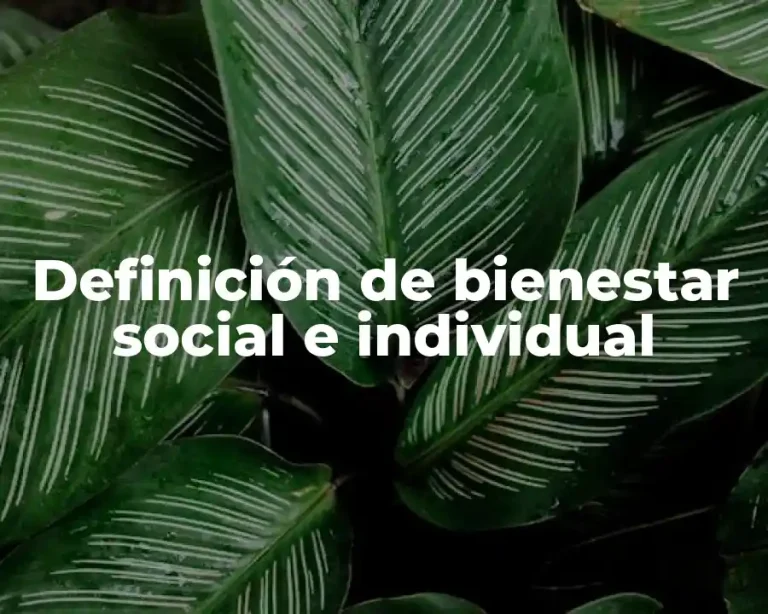 Definición de bienestar social e individual