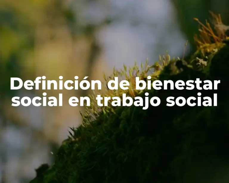 Definición de bienestar social en trabajo social