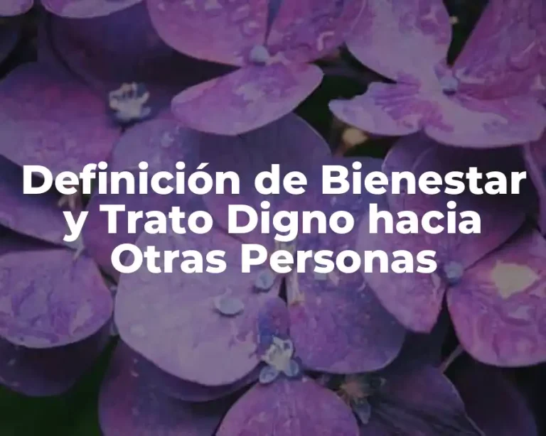 Definición de Bienestar y Trato Digno hacia Otras Personas