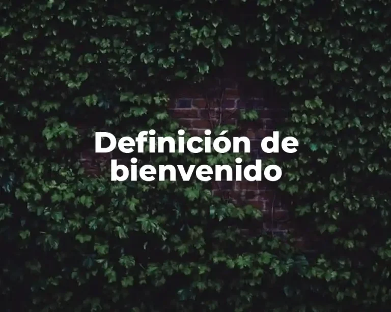Definición de bienvenido
