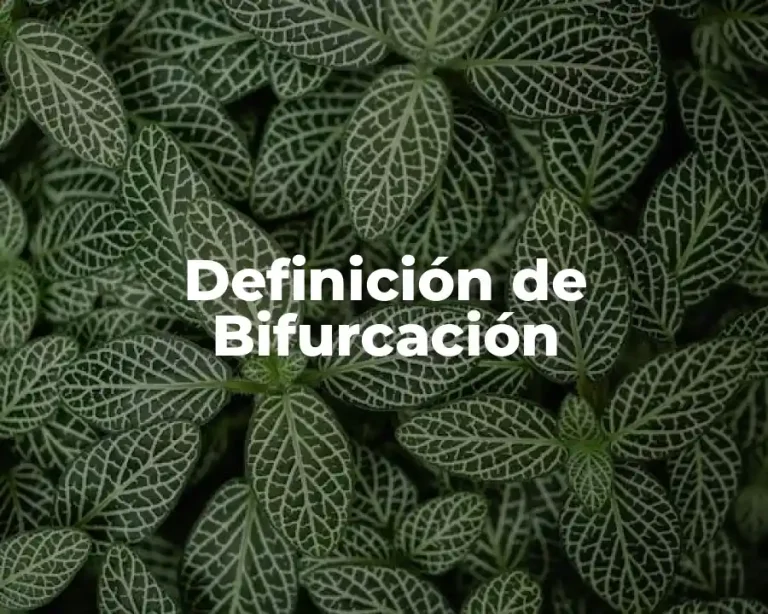 Definición de Bifurcación