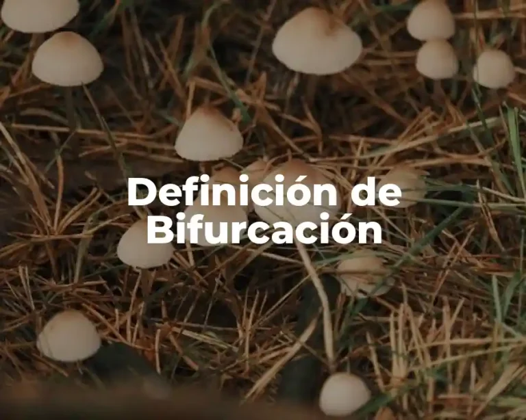 Definición de Bifurcación