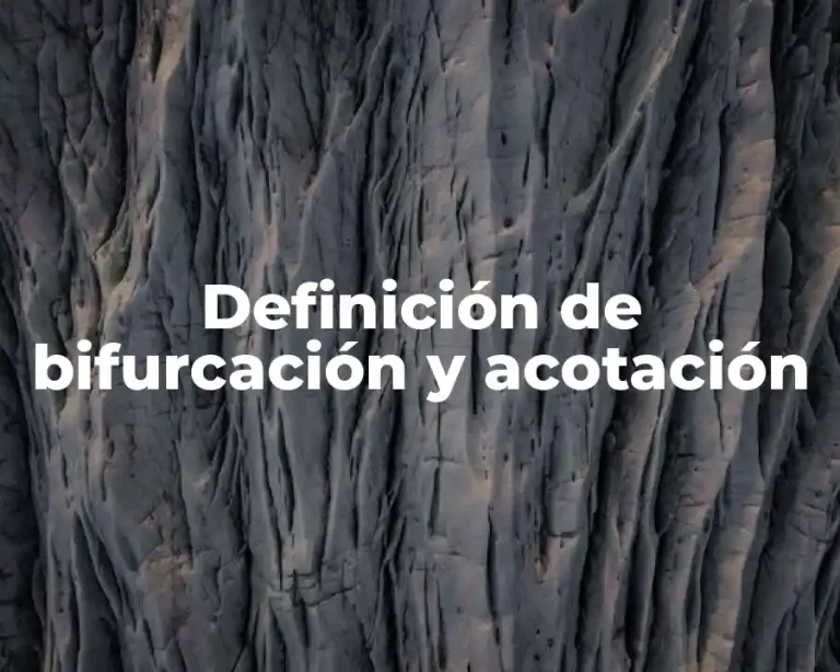 Definición de bifurcación y acotación