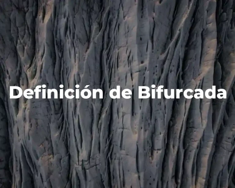 Definición de Bifurcada