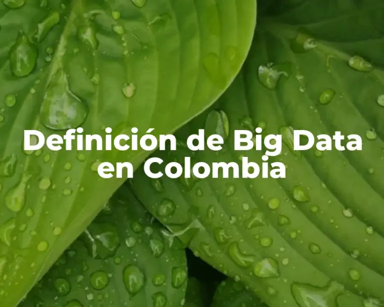 Definición de Big Data en Colombia