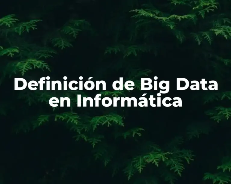 Definición de Big Data en Informática