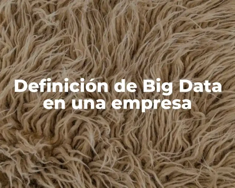 Definición de Big Data en una empresa