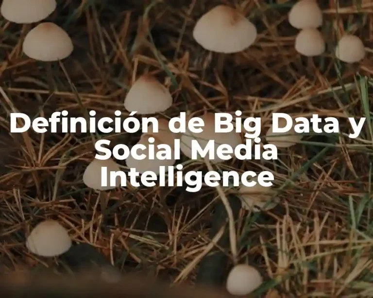 Definición de Big Data y Social Media Intelligence