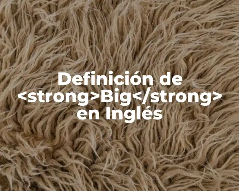 Definición de <strong>Big</strong> en Inglés
