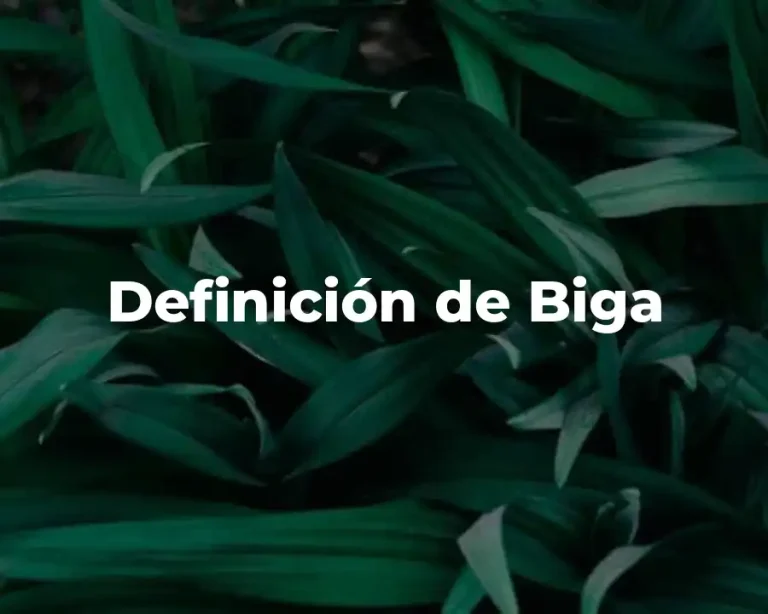 Definición de Biga