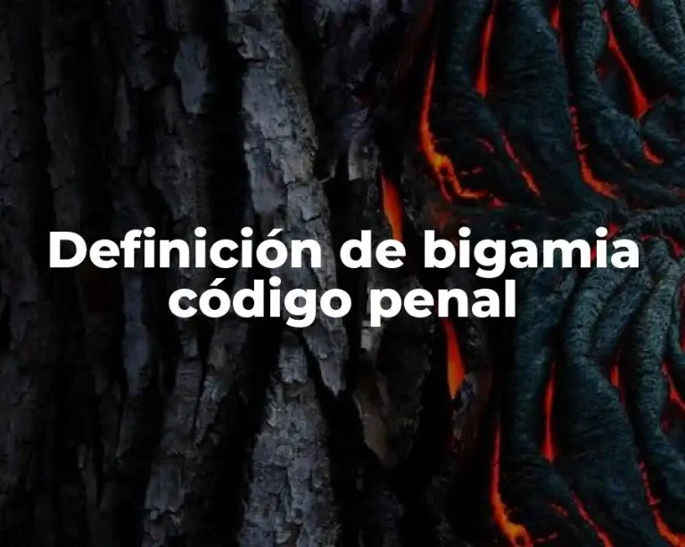 Definición de bigamia código penal