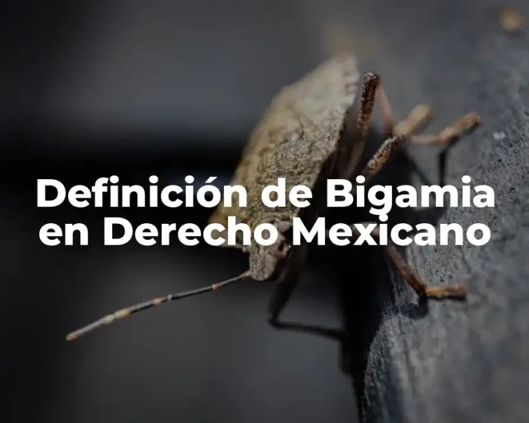 Definición de Bigamia en Derecho Mexicano