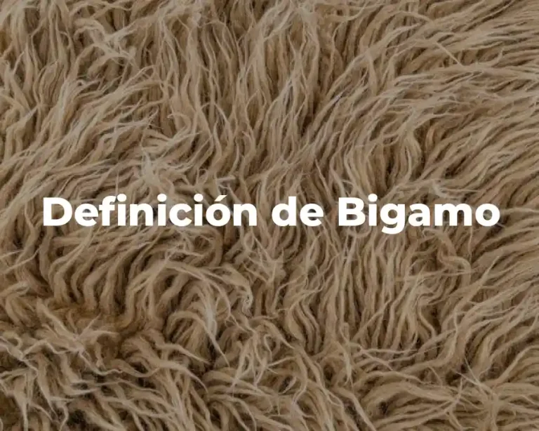 Definición de Bigamo