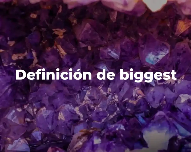 Definición de biggest