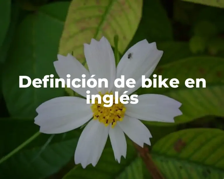 Definición de bike en inglés